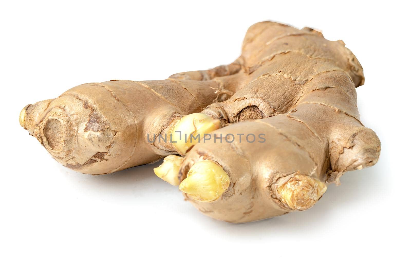 Ginger isolated on white background, herb vegatable food in Asia.