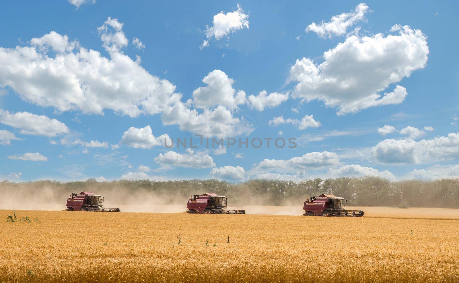 Combine harvester harvesting wheat on sunny summer day