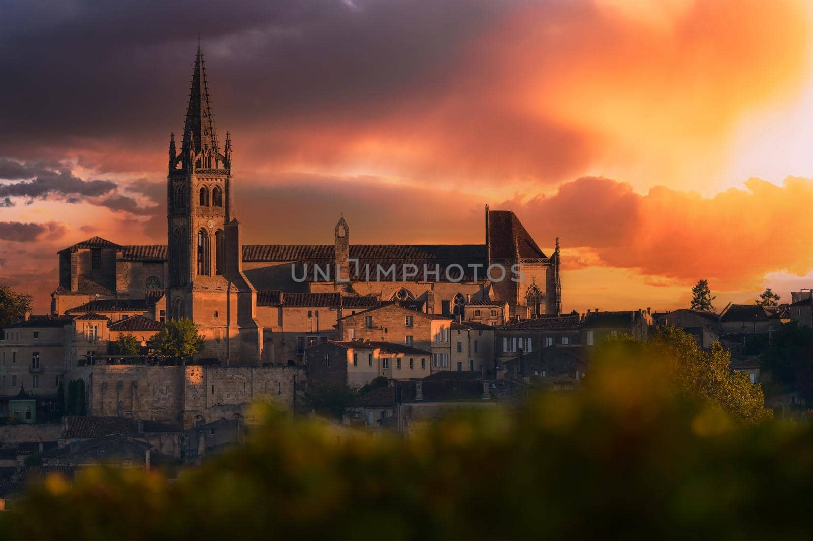 Saint-Emilion, Vineyard landscape, Vineyard south west of France, Europe