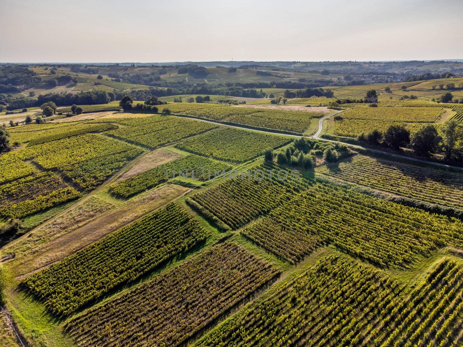 Aerial view, Vineyard Sunrise in summer, Sainte Croix du Mont, Bordeaux Vineyard, Gironde, France