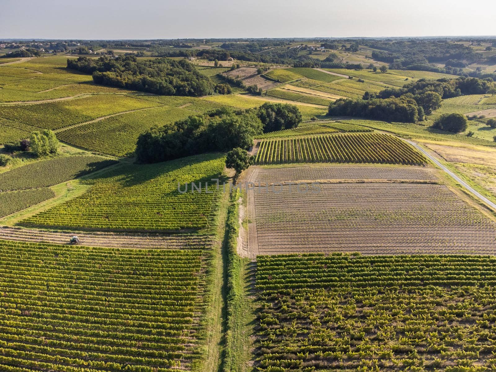 Aerial view, Vineyard Sunrise in summer, Sainte Croix du Mont, Bordeaux Vineyard, Gironde, France