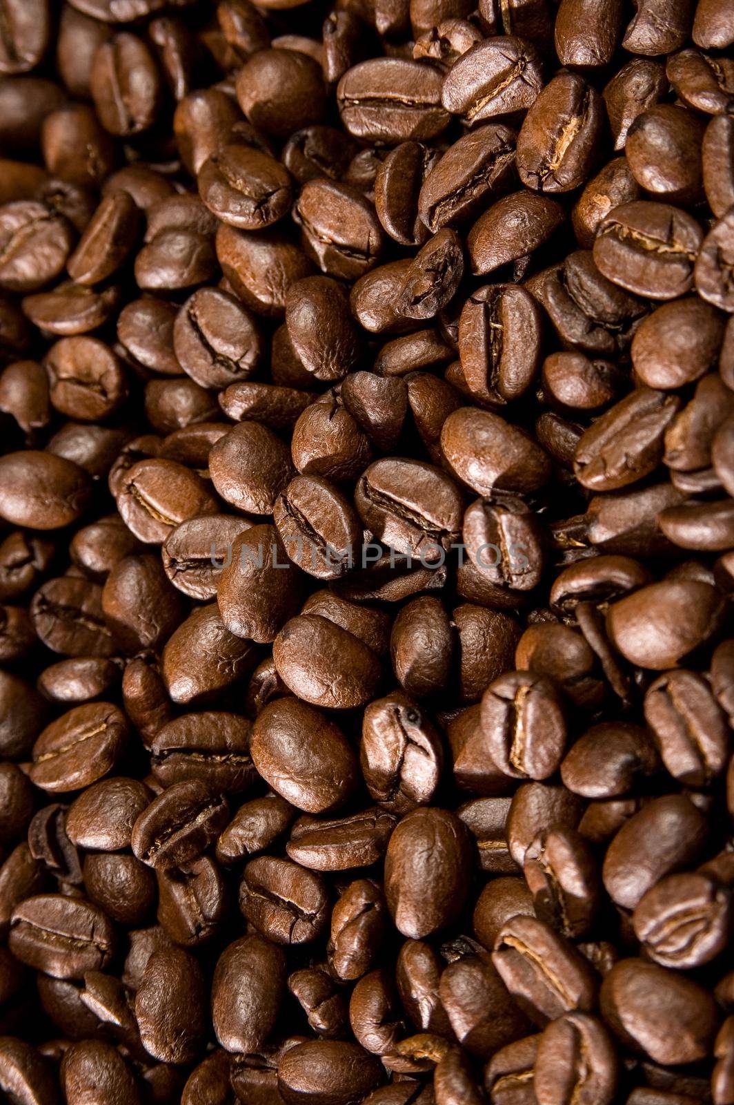 Brown coffee beans, closeup of coffee beans for background and texture
