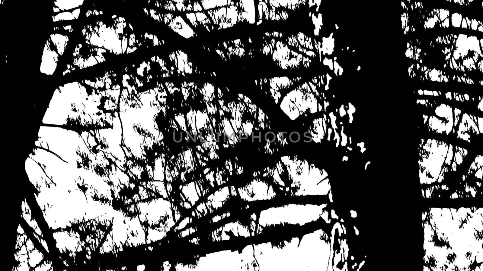 3d illustration - Dark Silhouette Of Tree  in the wood- black & white
