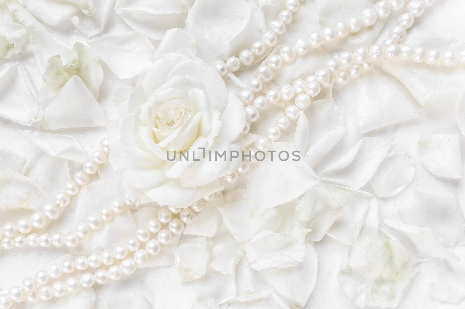 Beautiful white rose and pearl necklace on a background of petals. Ideal for greeting cards for wedding, birthday, Valentine's Day, Mother's Day
