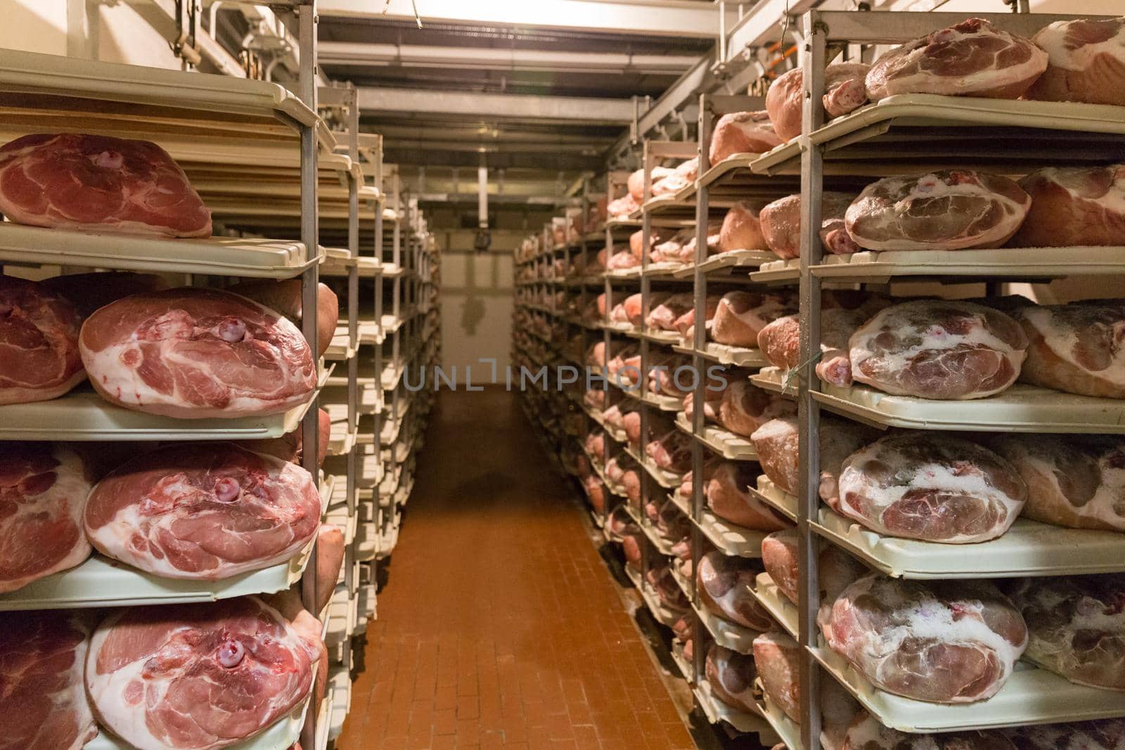 BOLOGNA, ITALY. May 02, 2018: Sorage of prosciutto in a ham factory in Bologna, Italy