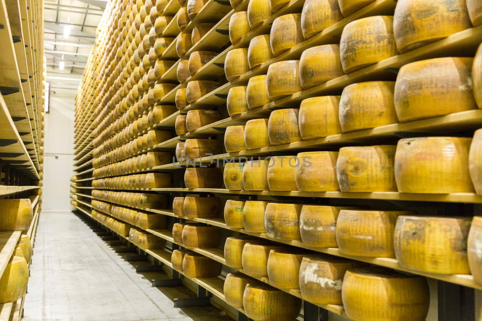Parmigiano Cheese factory production shelves with aging cheese in Italy, Bologna
