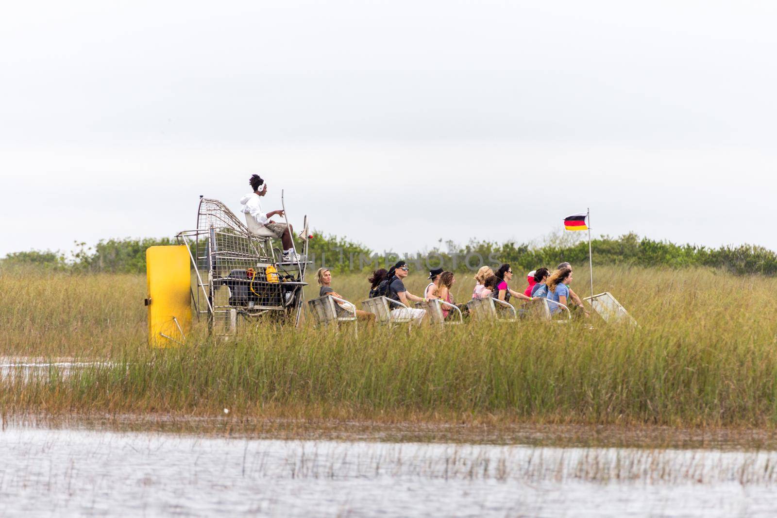 EVERGLADES, FLORIDA, USA - DECEMBER 8, 2016 : Airboat tour at the mangrove forest in Everglades swamp