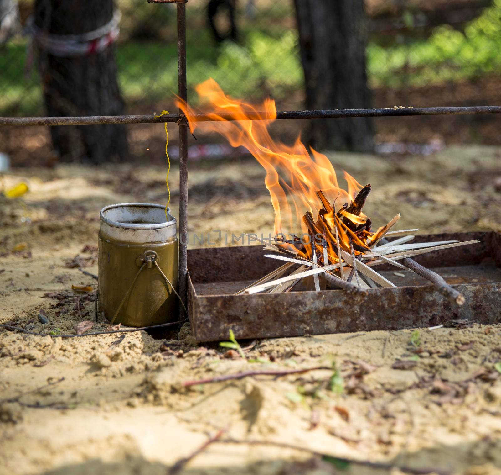 Campfire made by tourists in wood