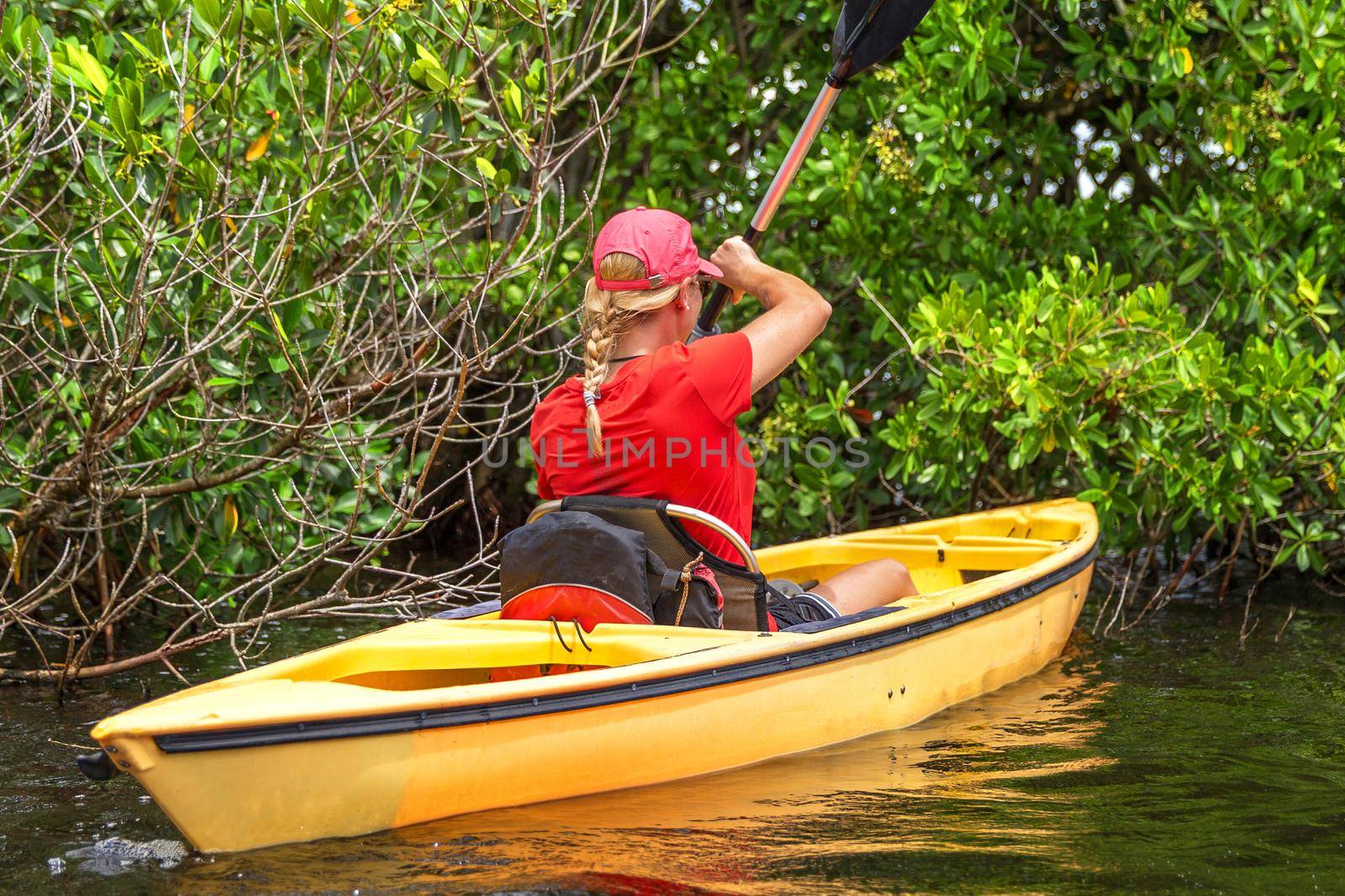 Young woman kayaking in Everglades National park