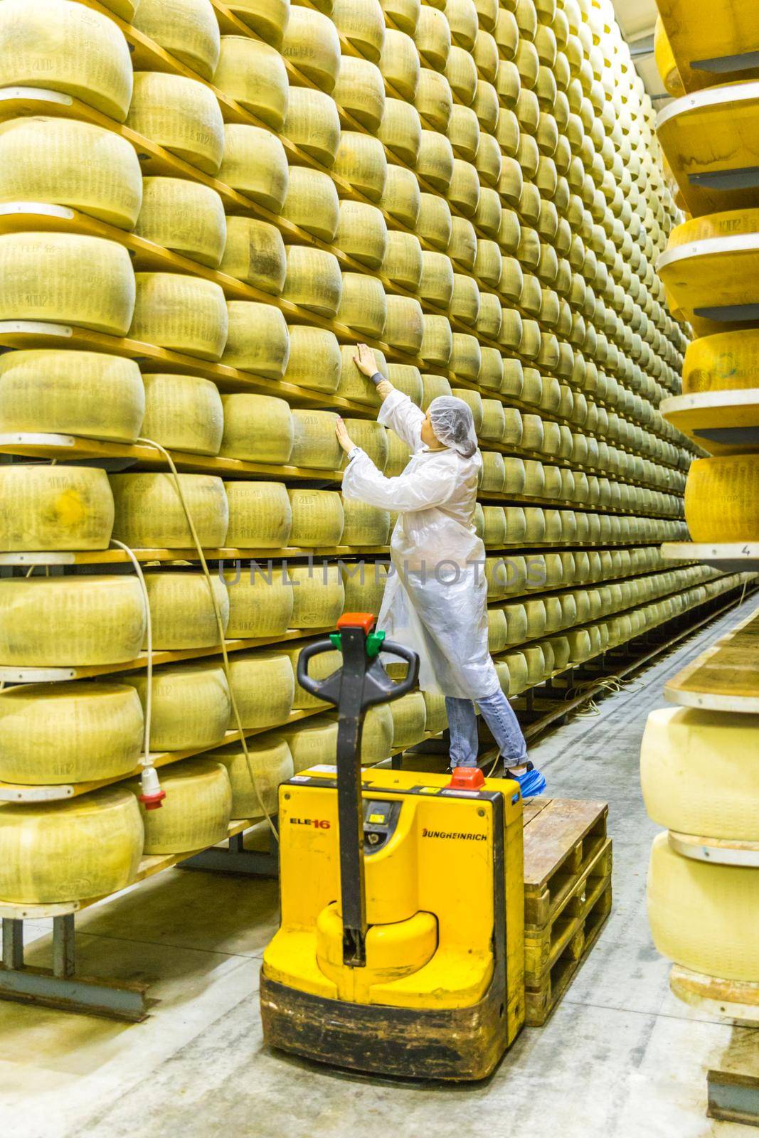BOLOGNA , ITALY - MAY 02, 2018: Worker inspecting cheese in Parmigiano Cheese factory. Shelves with aging cheese in Italy, Bologna