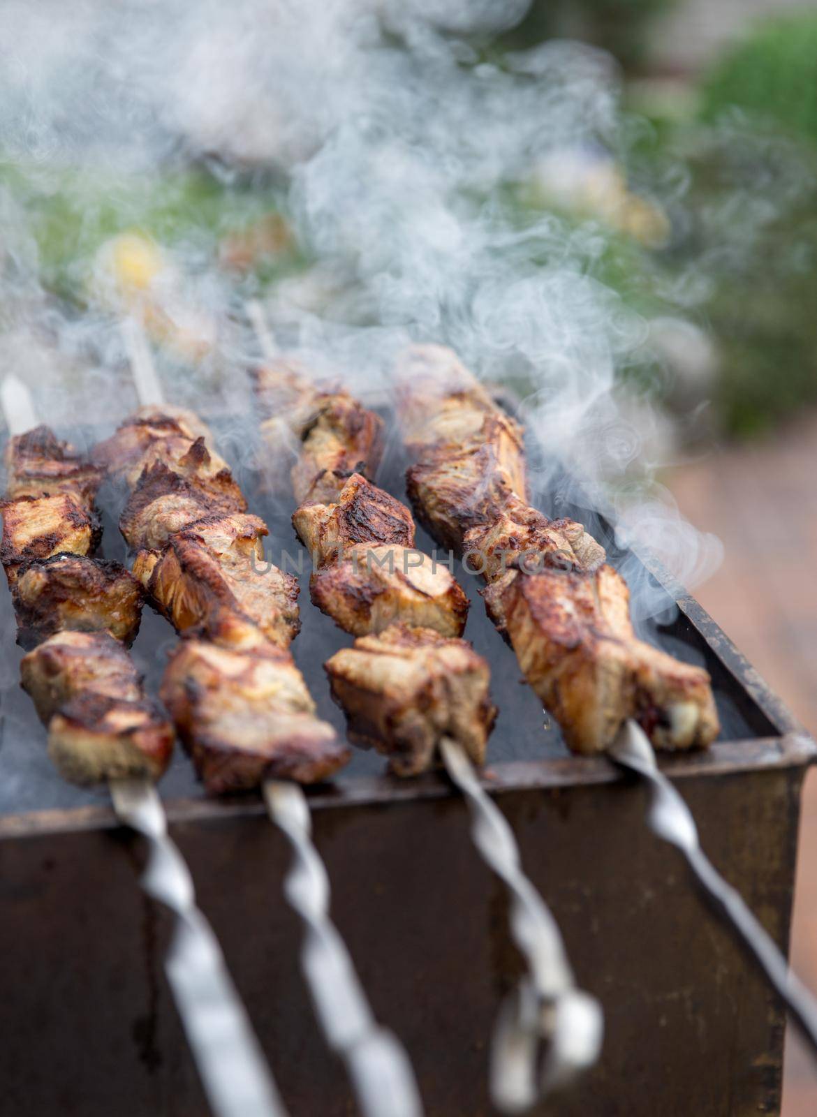 Meat roasted on skewers with smoke in a garden