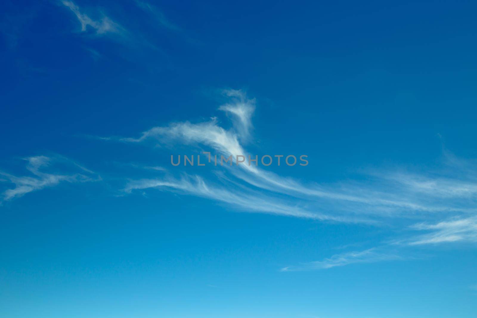 Beautiful blu sky on a sunny summer day