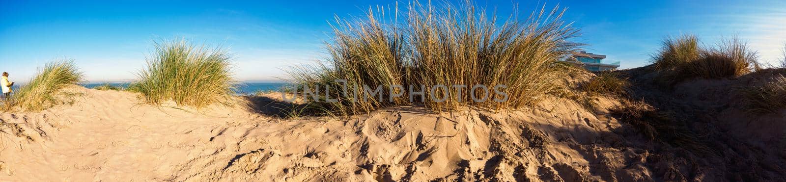 panorama of sand dune by Youri