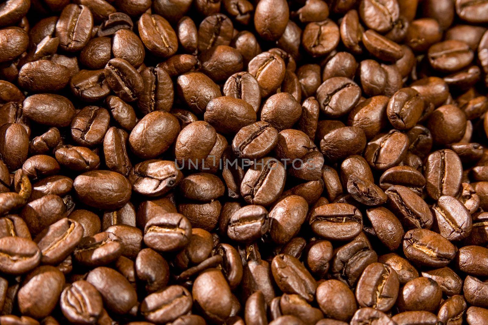 Brown coffee beans, closeup of coffee beans for background and texture