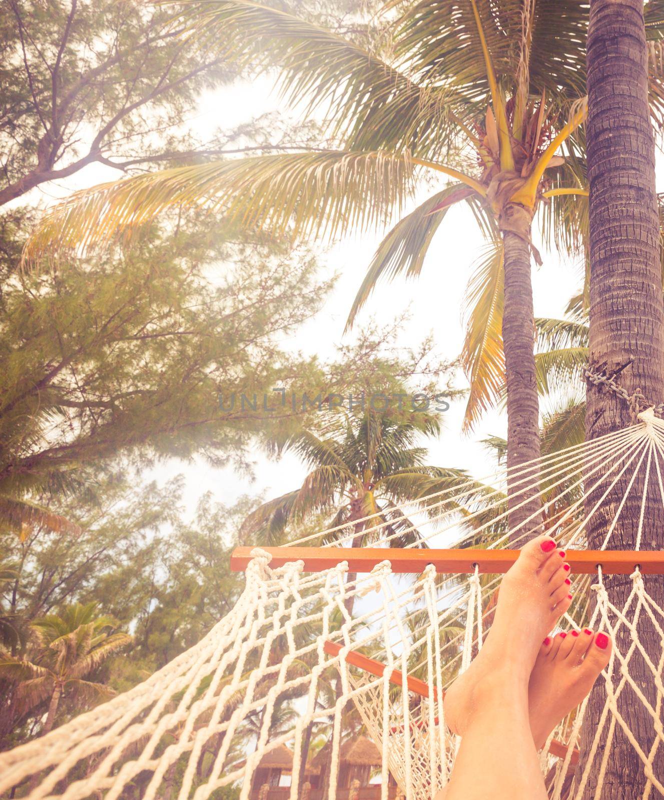 Female legs in a hammock on a background of the sea, palm trees and sunset. Vacation concept with copy space and orange color tone