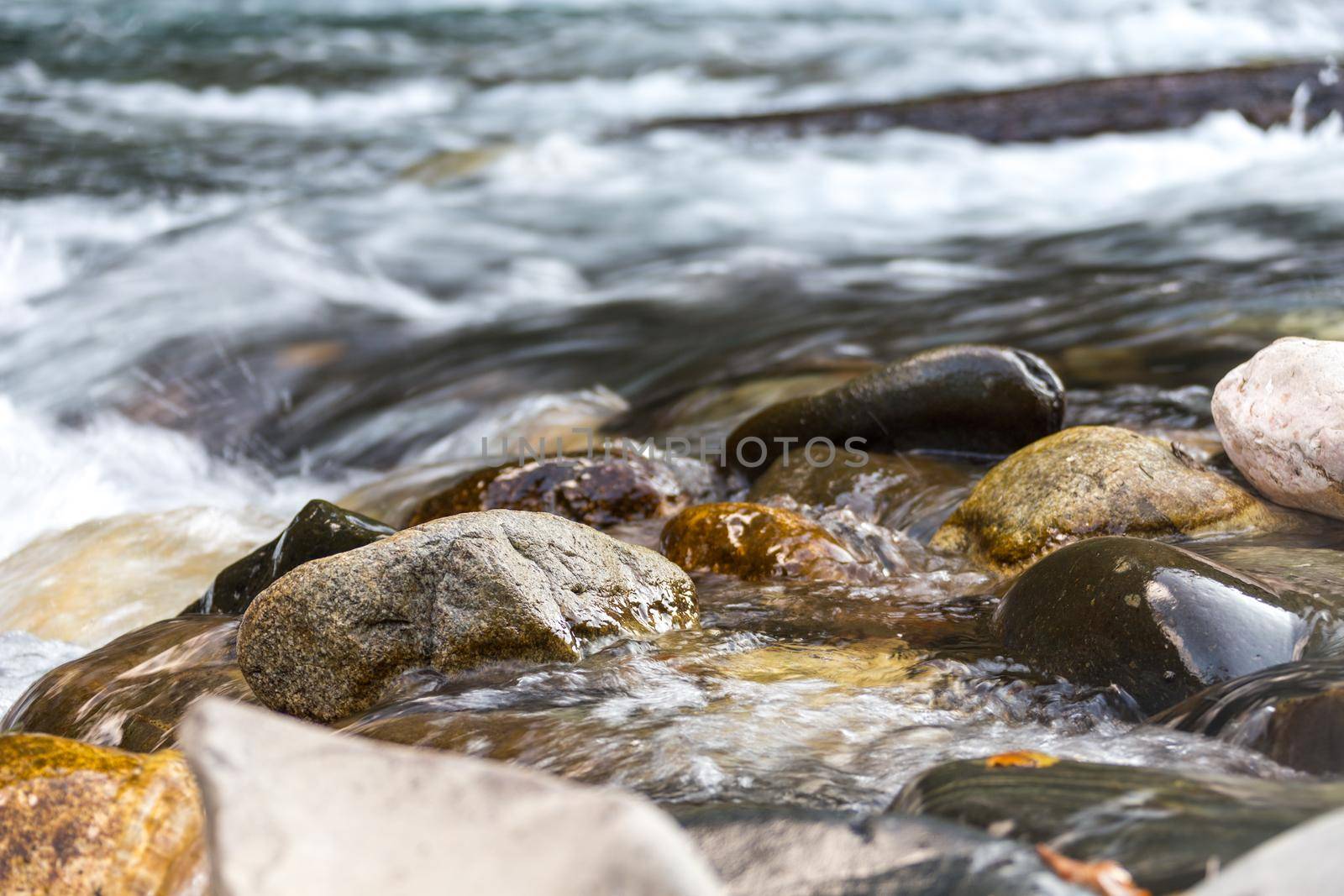 Mountain river in forest