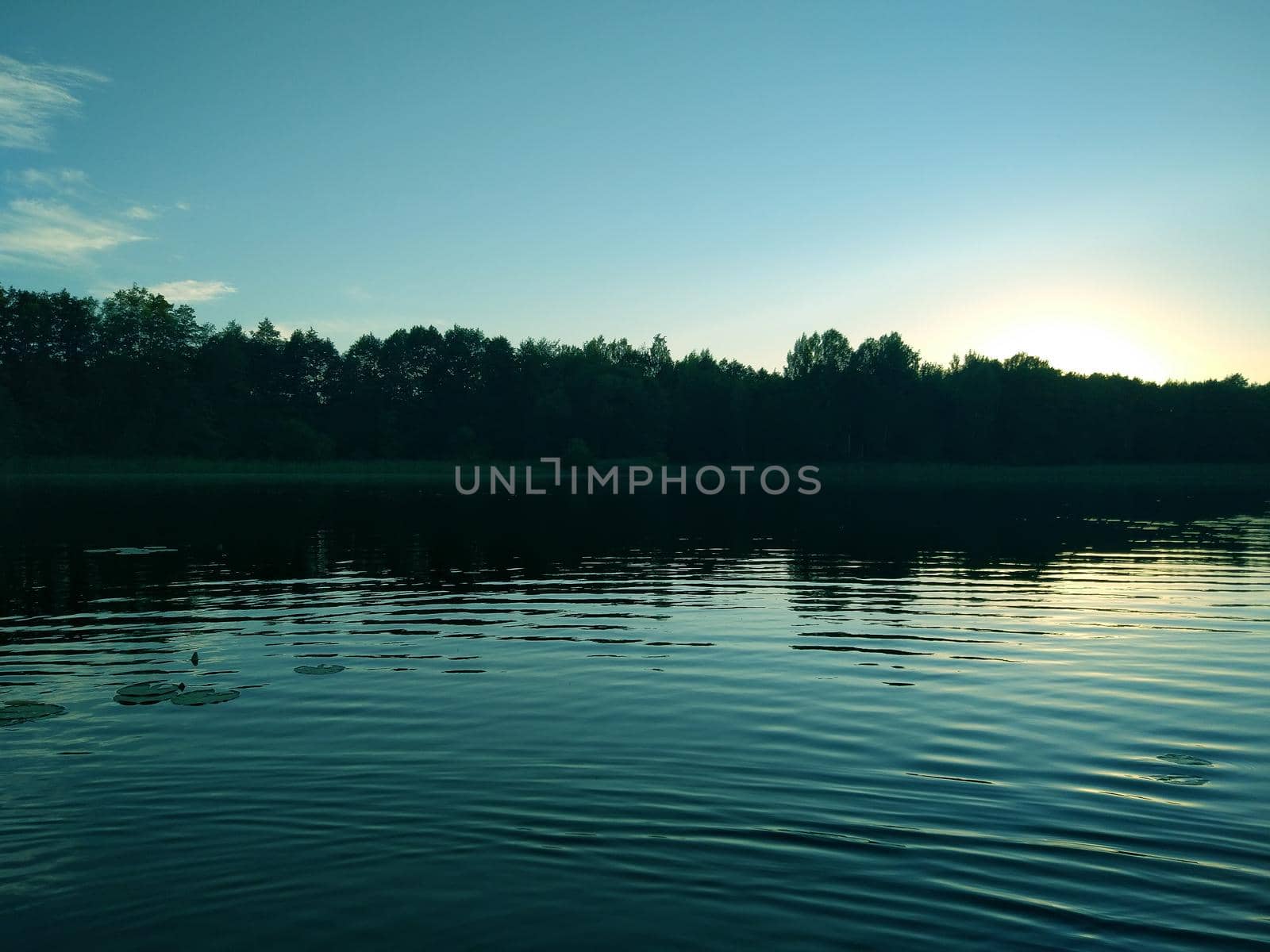 Calm lake surface at evening in Latvia, East Europe. summer sunset landscape with water and forest.