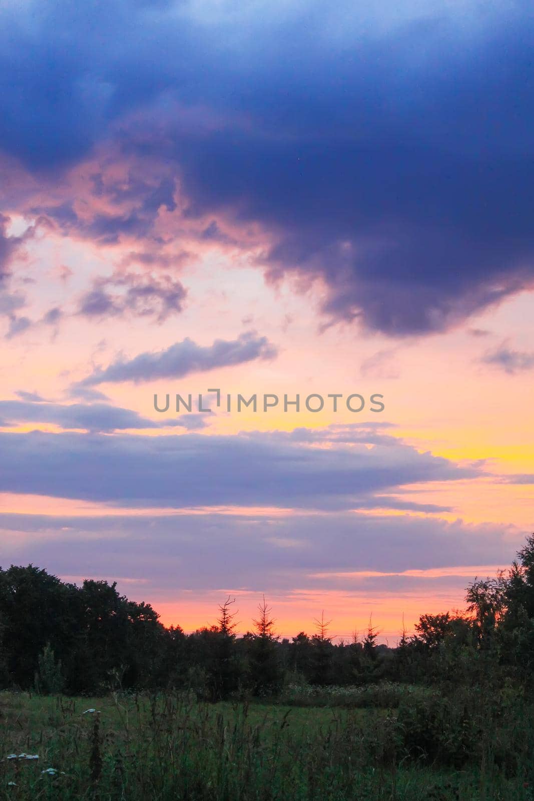 Sunset sky background. Beautiful summer landscape in countryside.