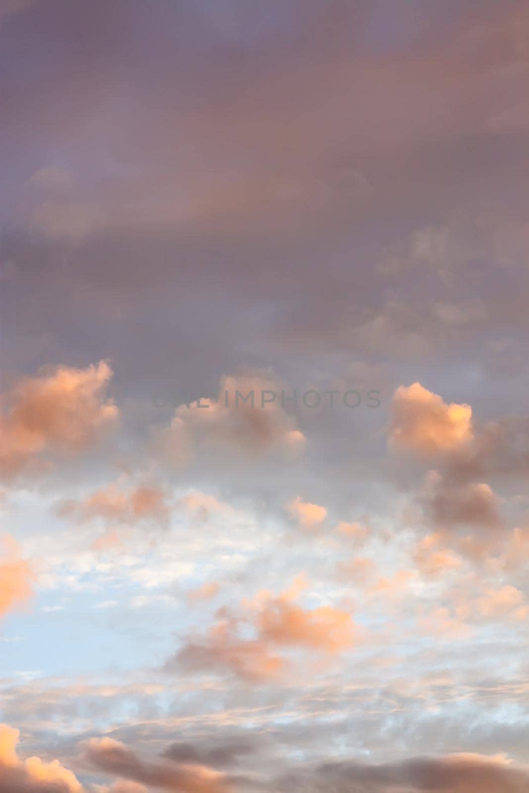 Sunset sky background. Beautiful summer landscape in countryside.