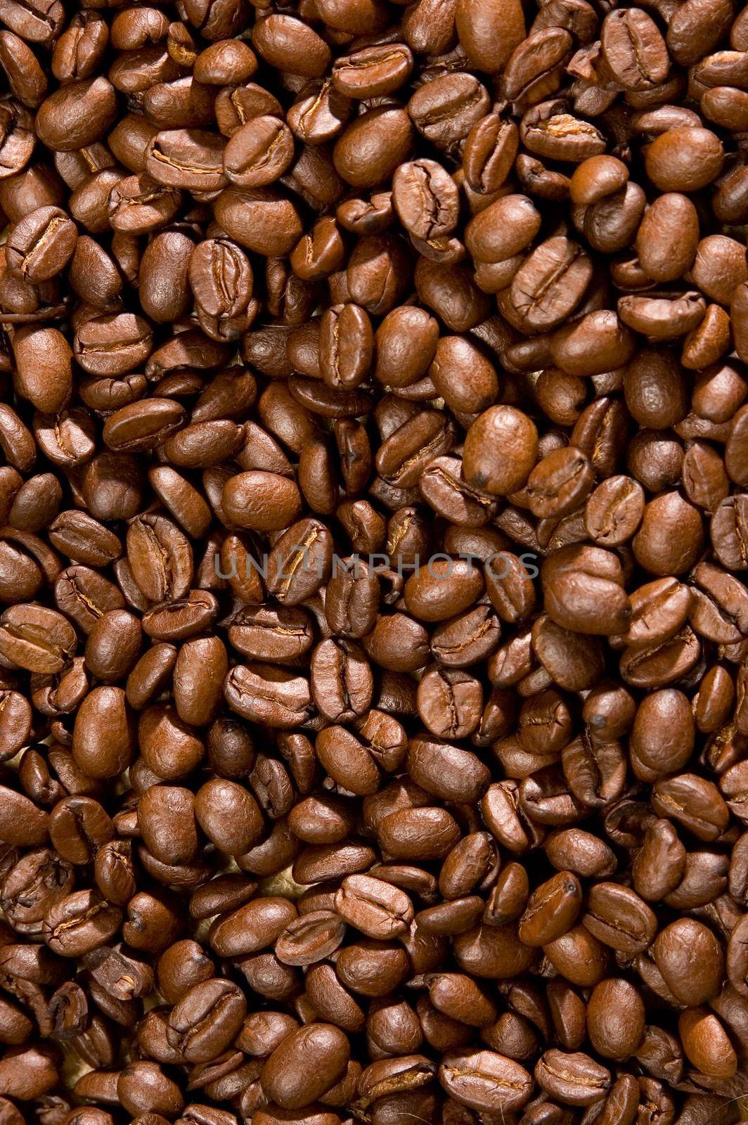 Brown coffee beans, closeup of coffee beans for background and texture