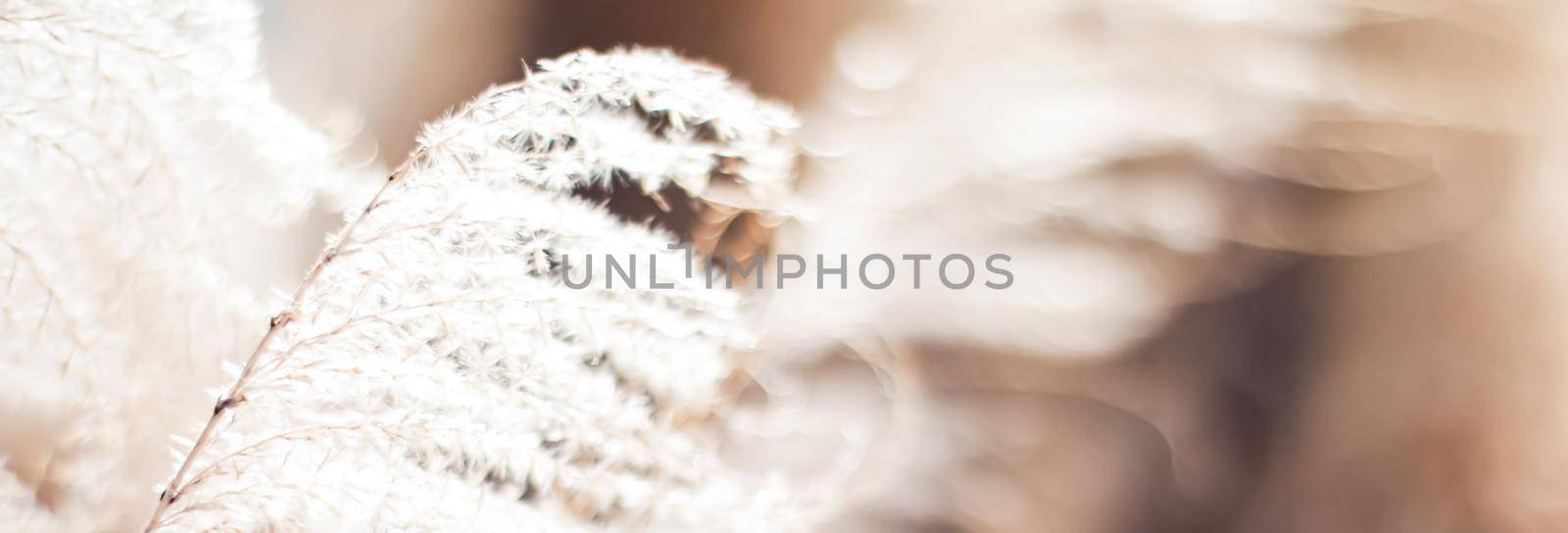 Nature background in early spring or autumn, cold weather in botanical garden.