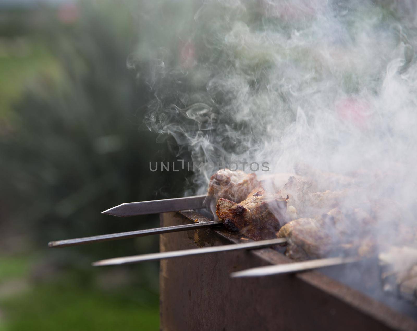 Meat roasted on skewers with smoke in a garden
