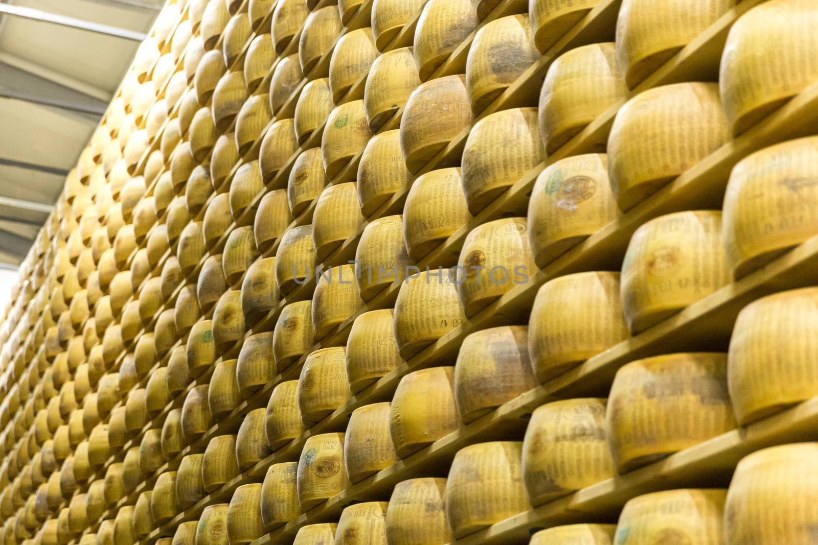 Parmigiano Cheese factory production shelves with aging cheese in Italy, Bologna