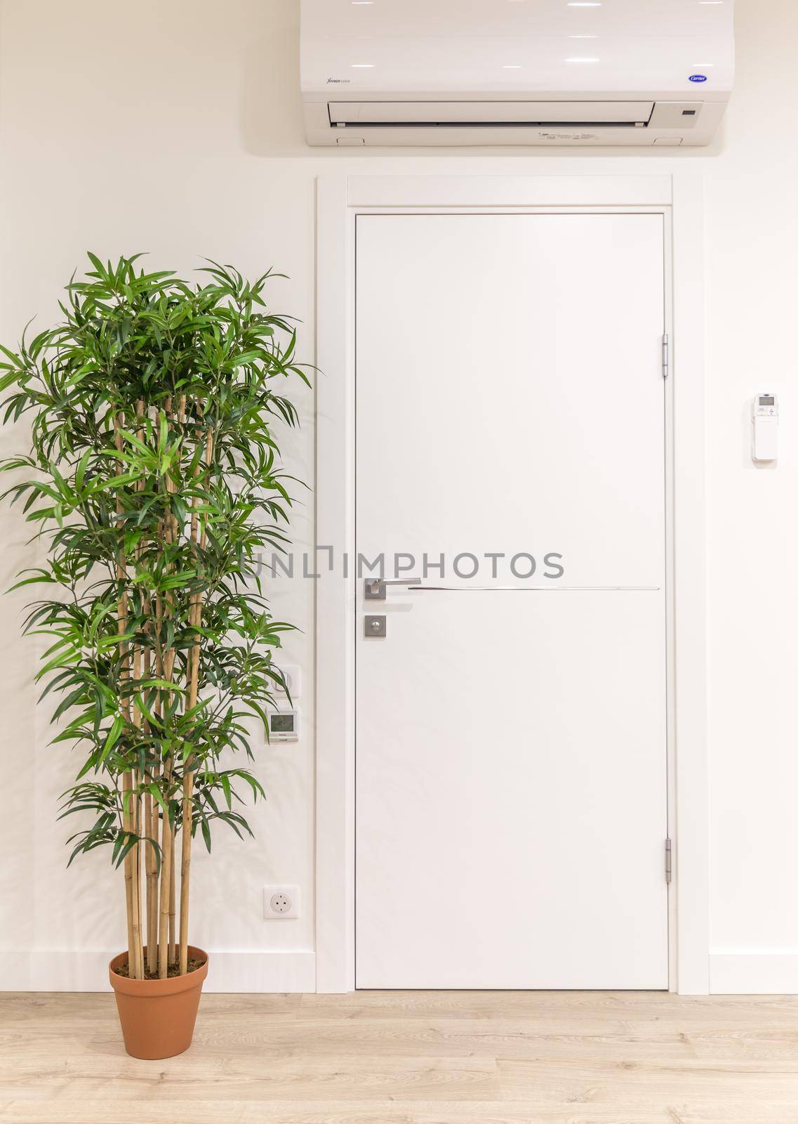 White door in modern home with green tree