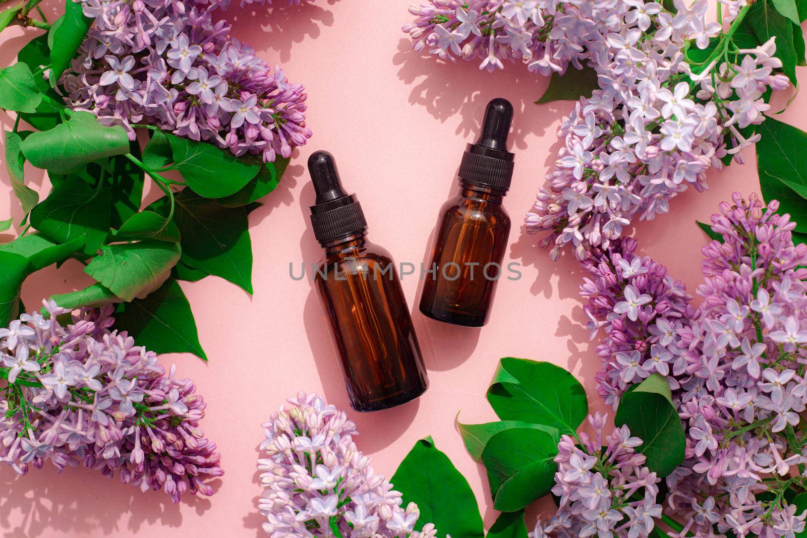 Cosmetic oil and lilac on a pink background. A container for cosmetic oil. Cosmetology. Skin care . Lilac branch