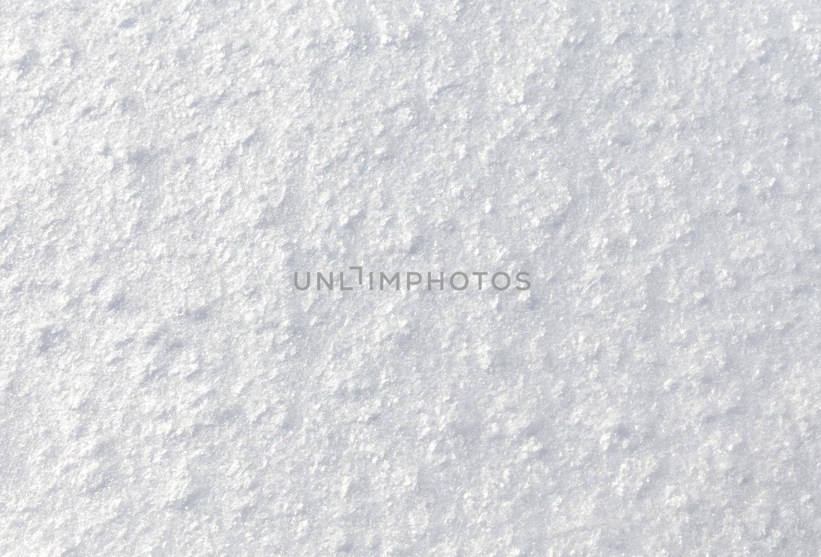 a background of fresh pure snow, white crystal surface