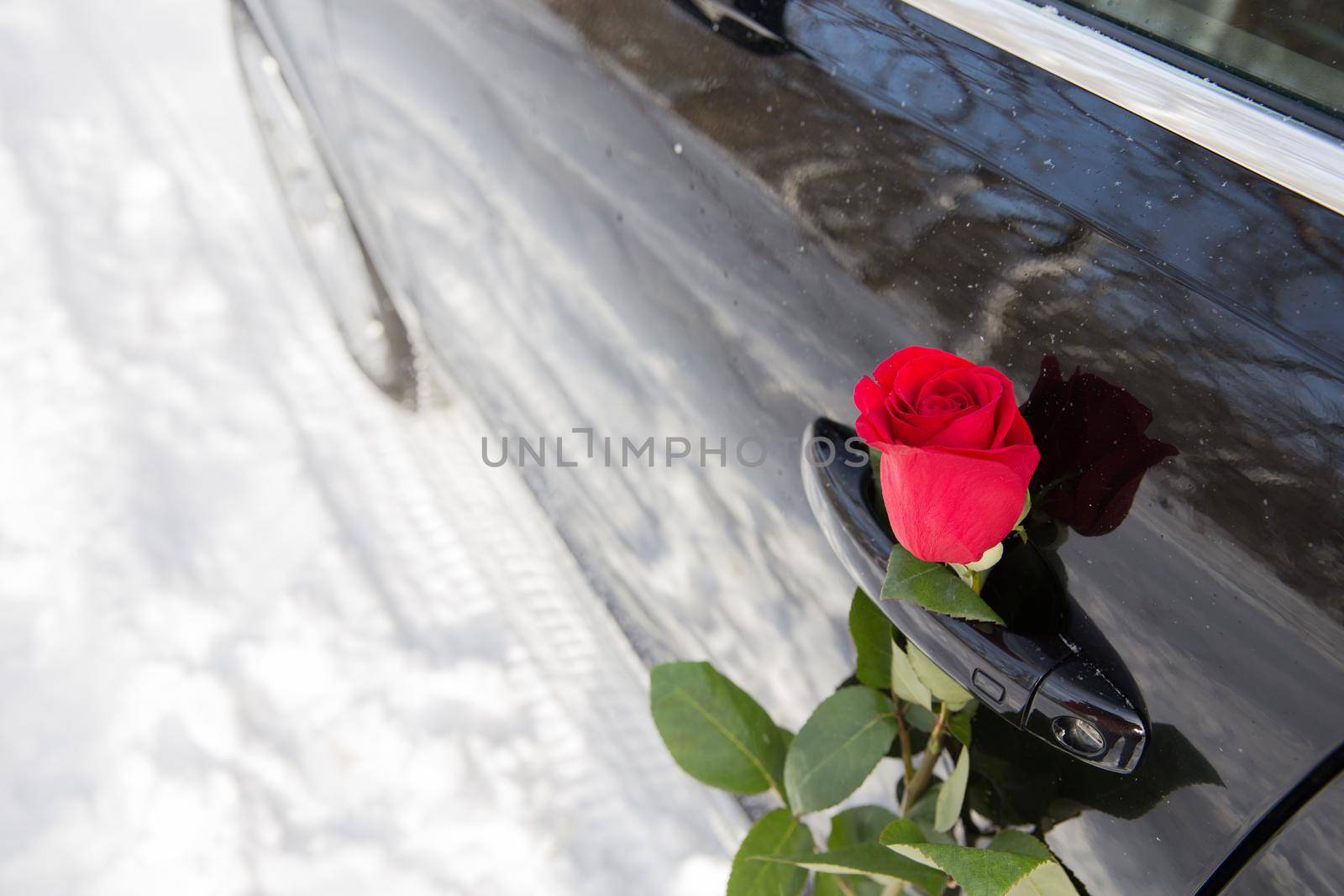 beautiful red rose and black car, surprise for a loved one
