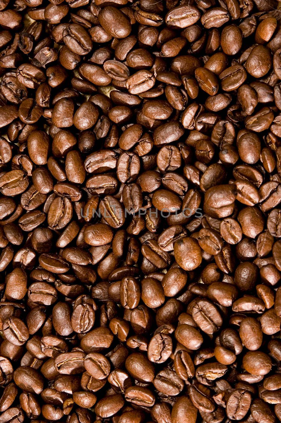 Brown coffee beans, closeup of coffee beans for background and texture