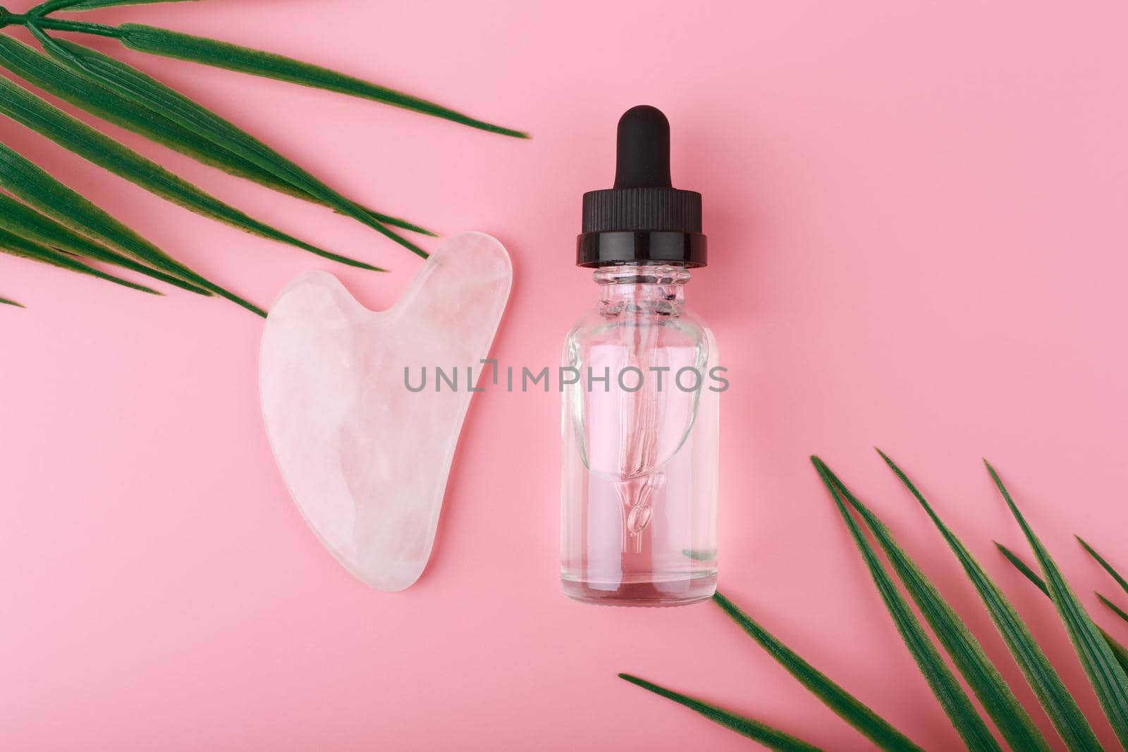 Flat lay with massage gel, skin serum or oil in transparent bottle and heart shaped guasha pink quartz crystal on pink background with palm leaves. Concept of facial massage and self treatment