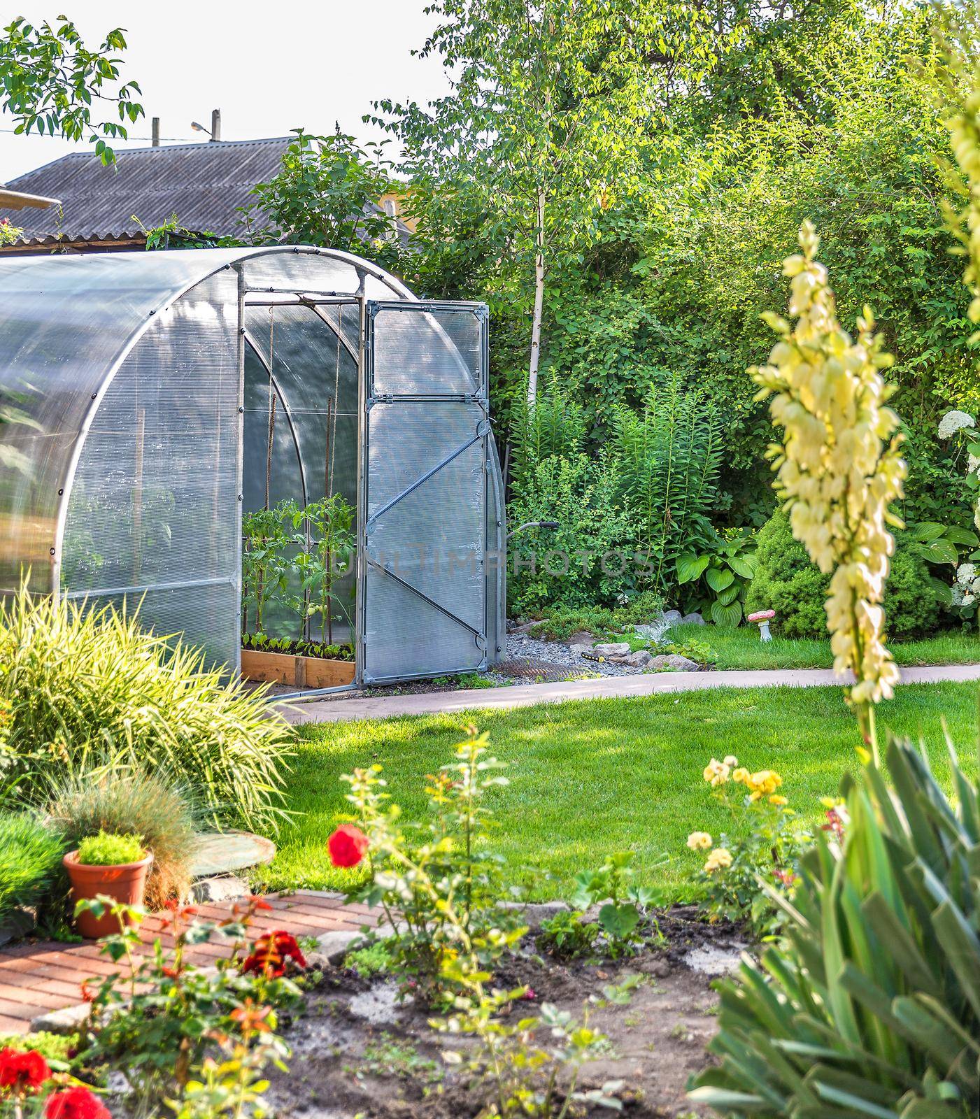 Greenhouse in back garden with open door