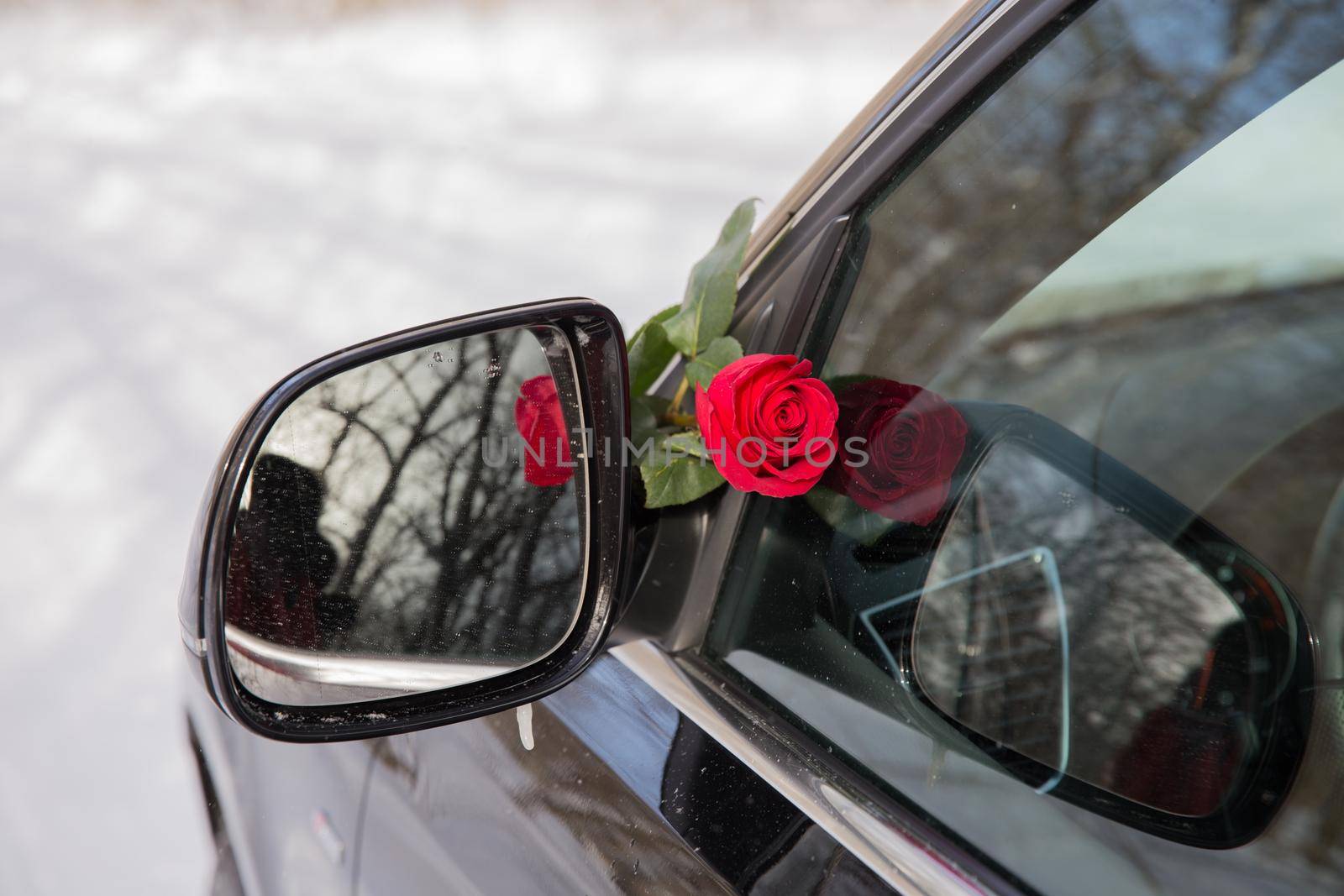 beautiful red rose and black car, surprise for a loved one