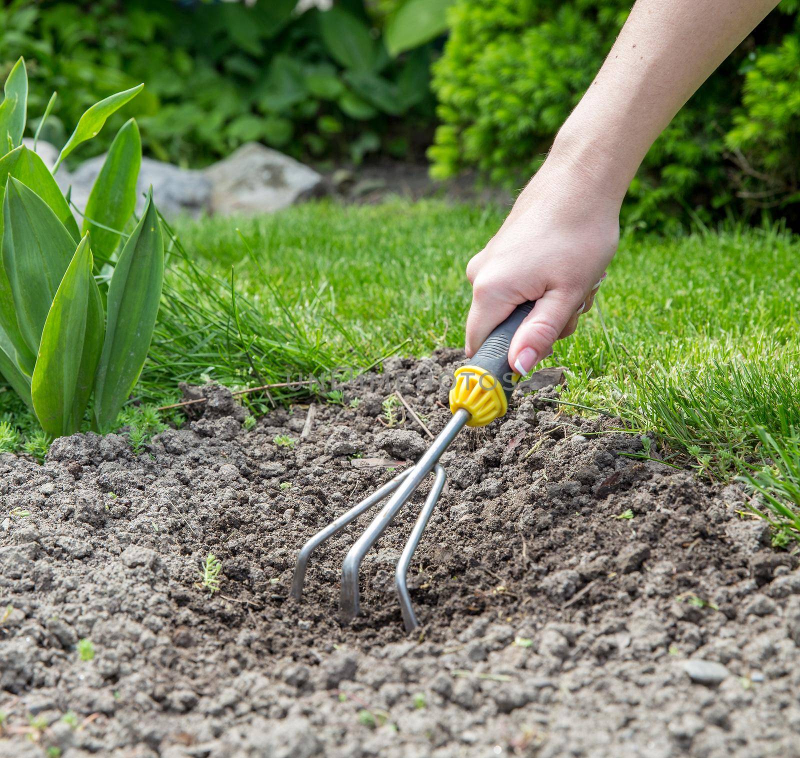 Preparing to plant flowers in the garden