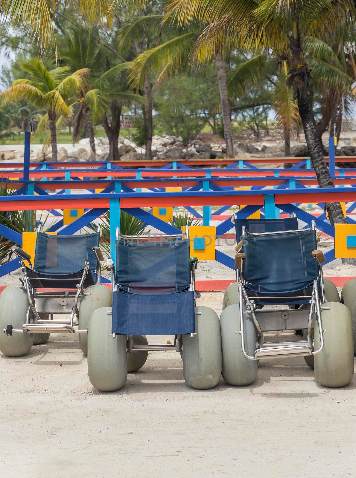 Group of beach wheelchairs on sand with palm trees on background