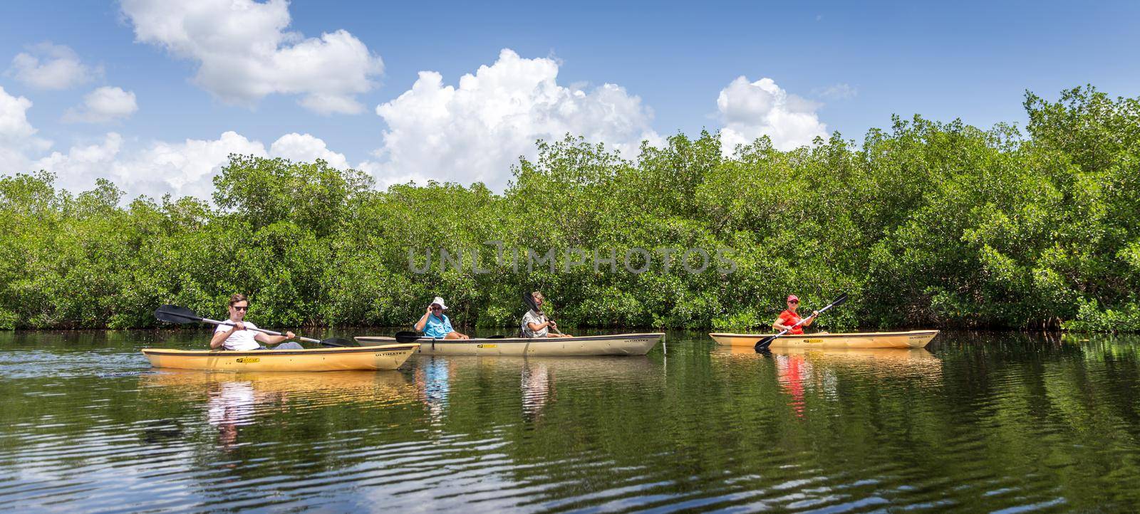 EVERGLADES, FLORIDA, USA - AUGUST 31: Tourists kayaking on August 31, 2014 in Everglades, Florida, USA. by Mariakray