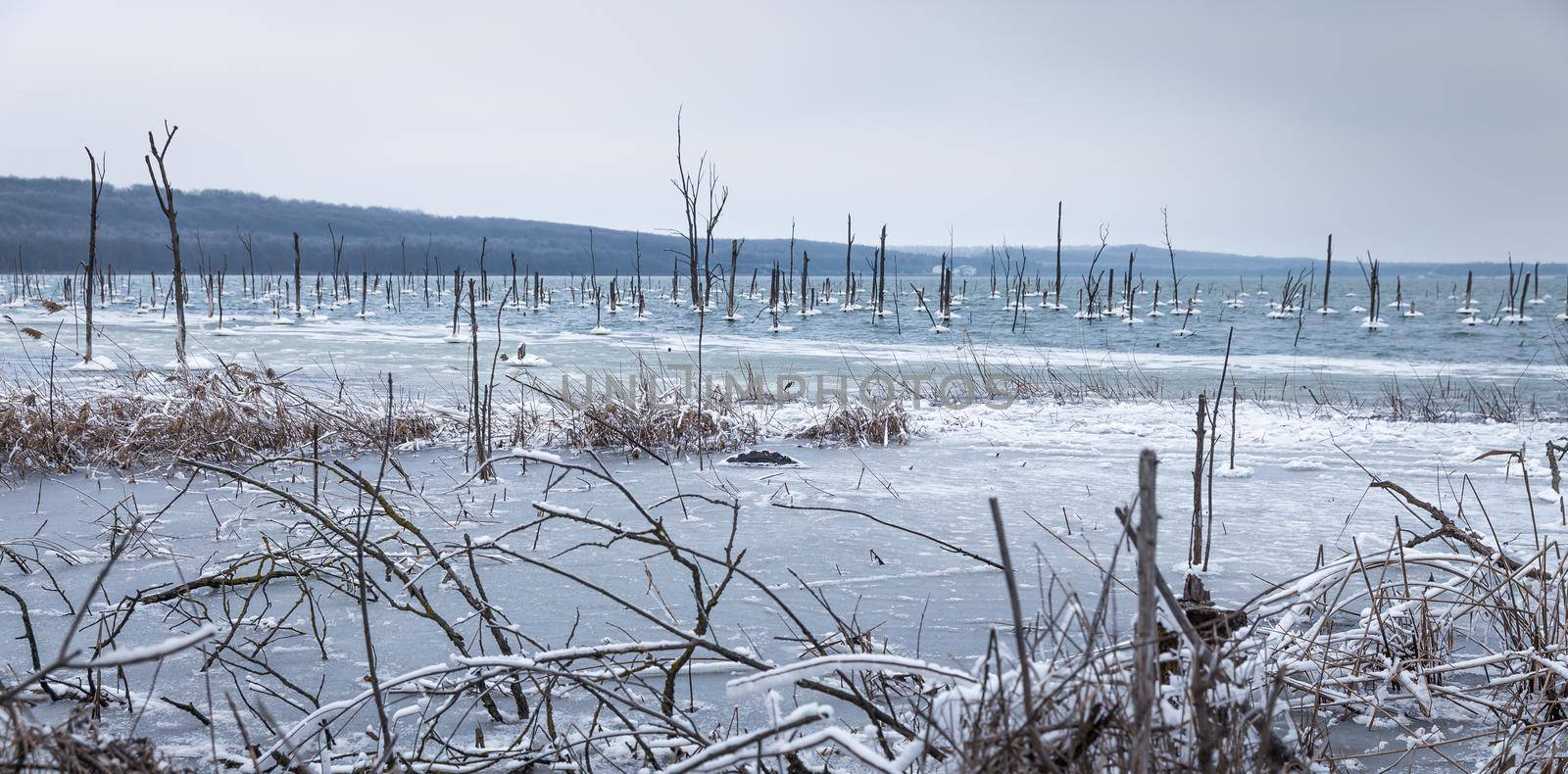 Winter lake by Mariakray