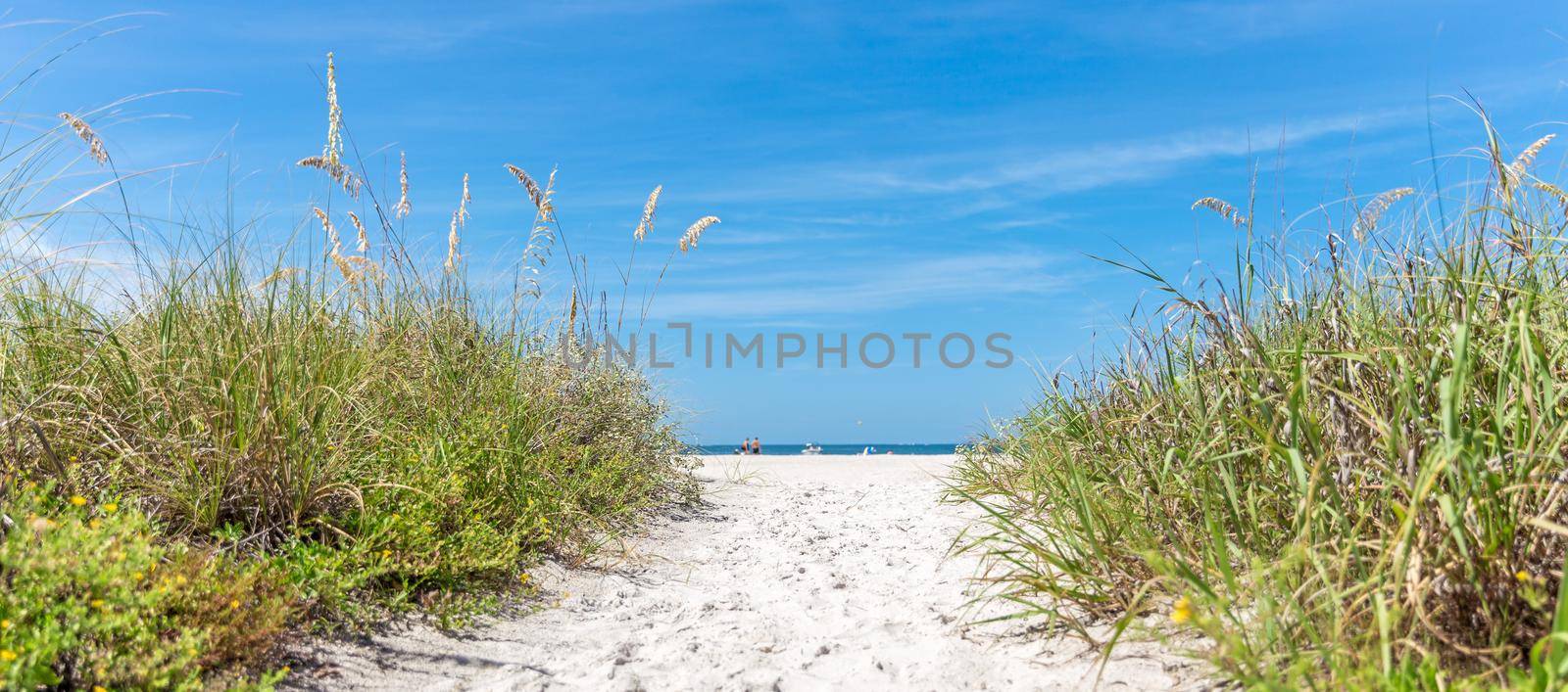 sunny beach with sand dunes and blue sky by Mariakray