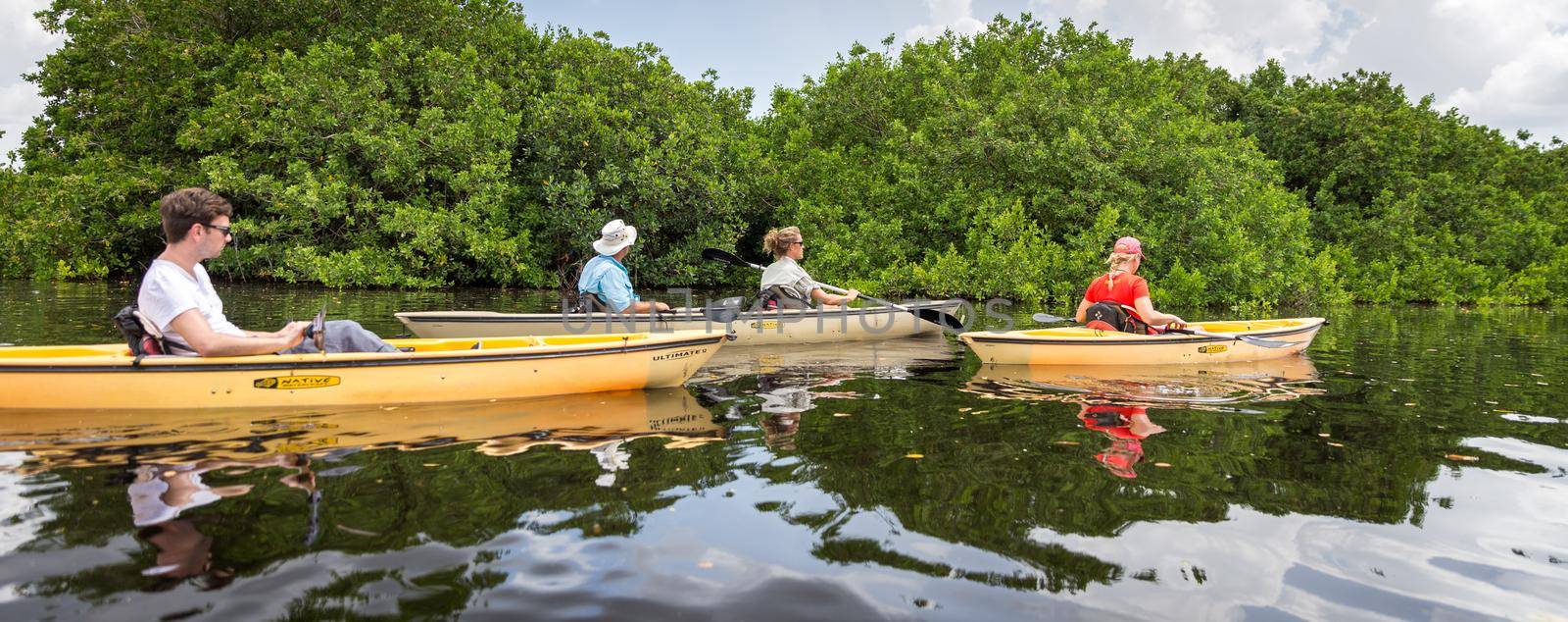 EVERGLADES, FLORIDA, USA - AUGUST 31: Tourists kayaking on August 31, 2014 in Everglades, Florida, USA. by Mariakray