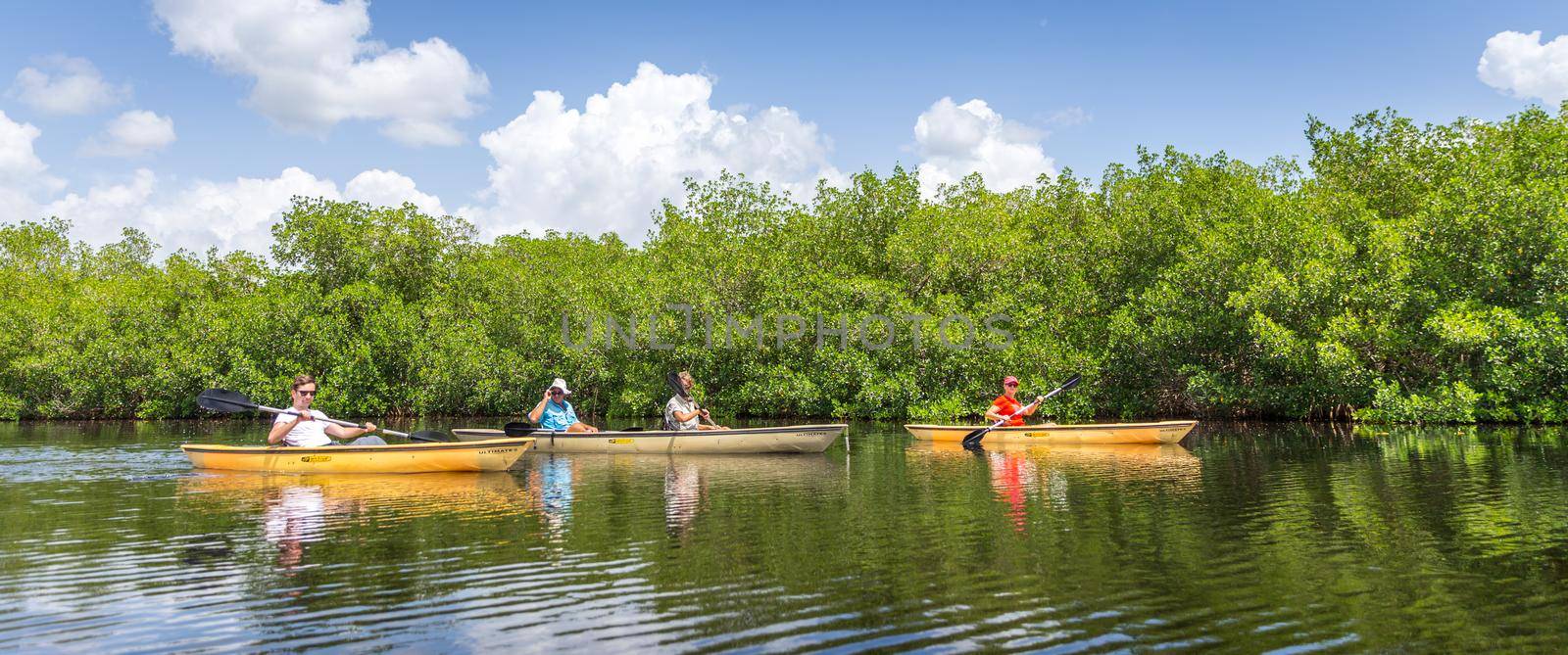 EVERGLADES, FLORIDA, USA - AUGUST 31: Tourist kayaking in mangrove forest on August 31, 2014 in Everglades, Florida, USA