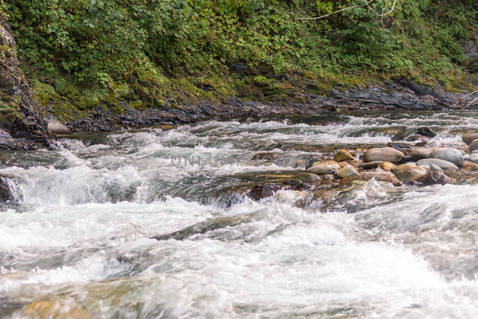 Mountain river in forest