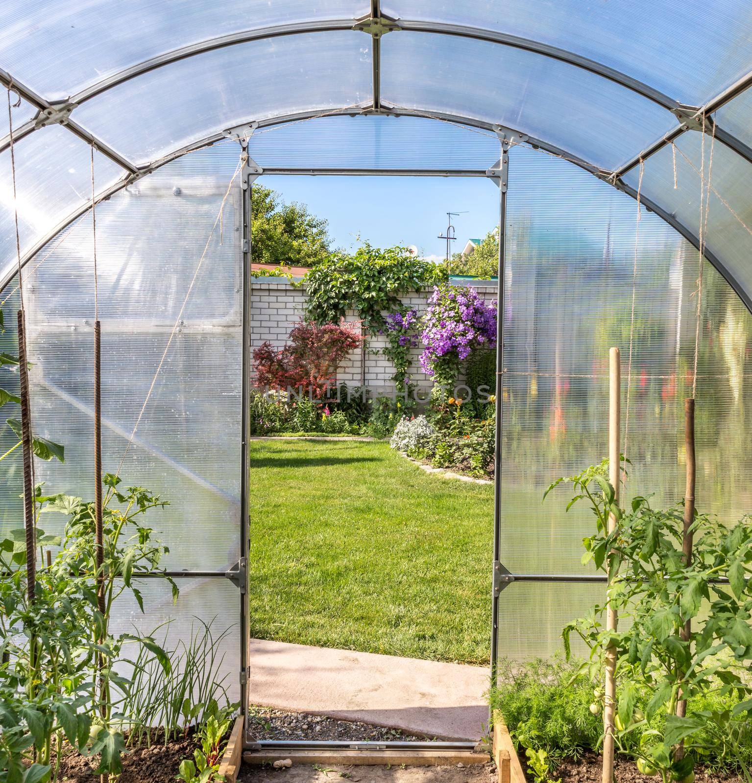 View from greenhouse on beautiful formal garden