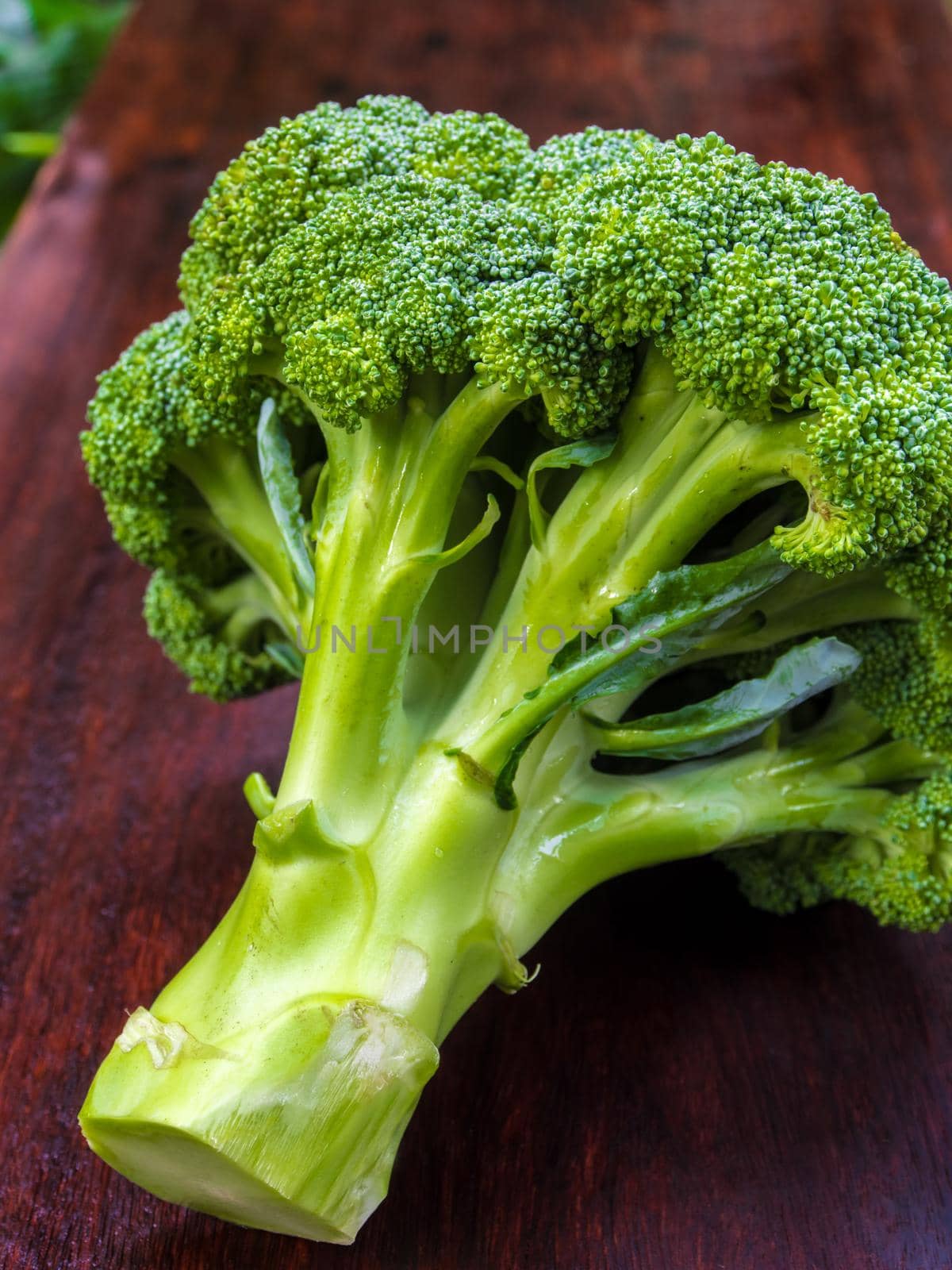 Close up to surface texture of freshness Broccoli vegetable