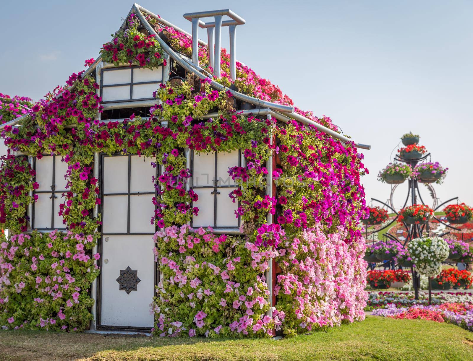 DUBAI, UAE - JANUARY 20: Miracle Garden in Dubai, on January 20, 2014, Dubai, UAE. Beautiful Miracle Garden with 45 million flowers