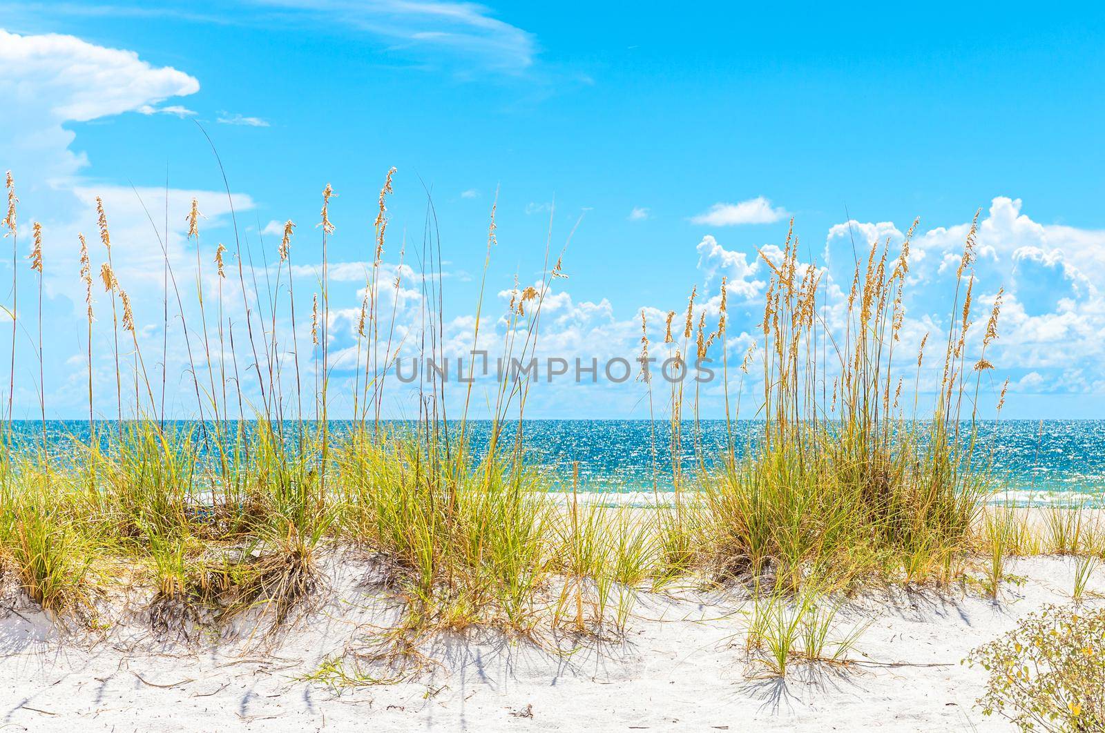 sunny St. Pete beach with sand dunes and blue sky in Florida