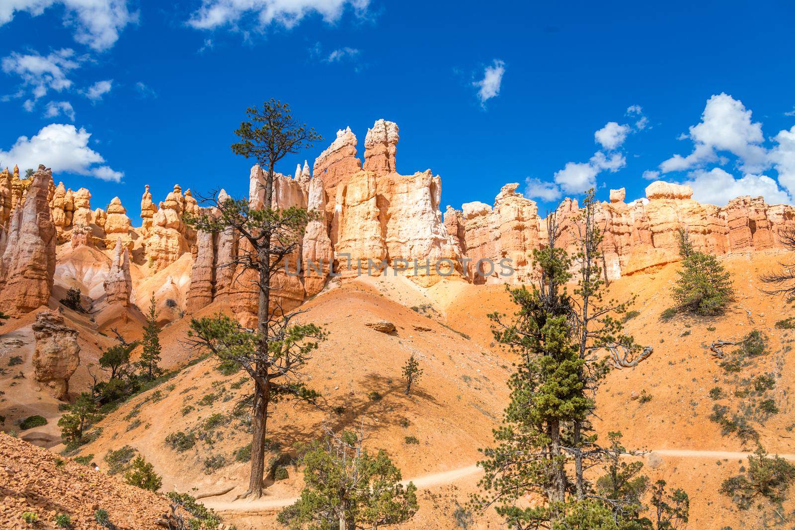 Bryce canyon national park, Utah, USA