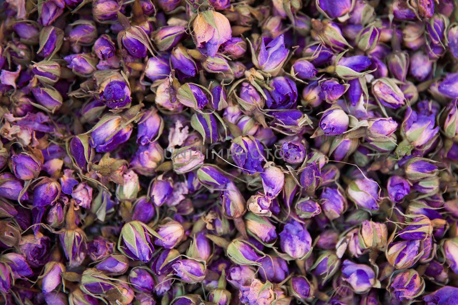 Dried rosebuds background texture closeup. Pink rosebud macro close up of heap.