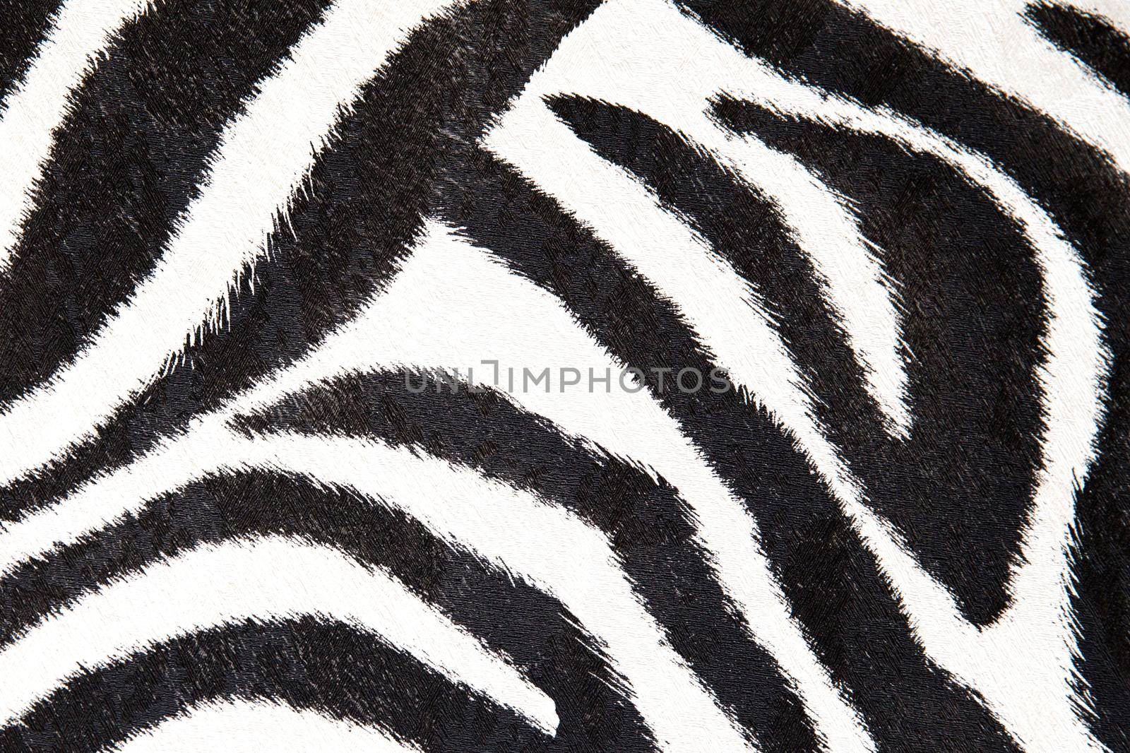 zebra background, black and white stripes, coloured wall